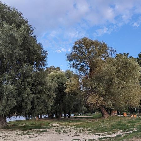 Palkovics Vendeghaz Dunabogdány מראה חיצוני תמונה