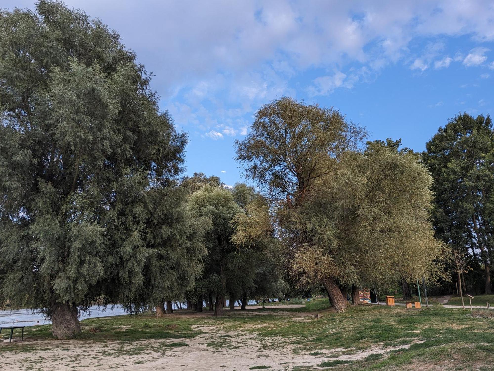 Palkovics Vendeghaz Dunabogdány מראה חיצוני תמונה